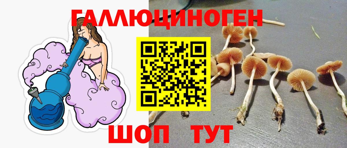 Губаха  Галлюциногенные грибы Cubensis  Вход с VPN 
